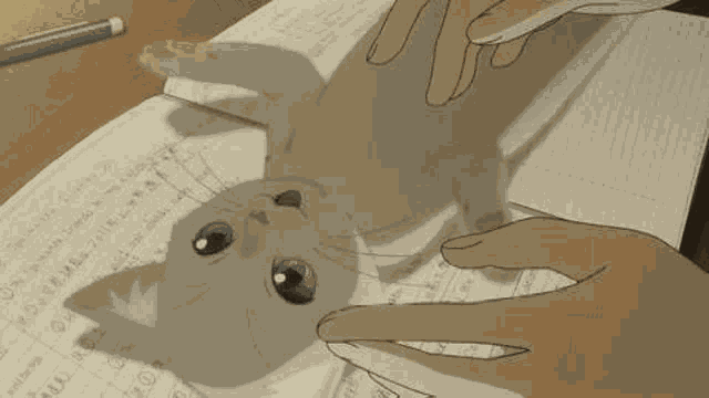 A Whisker Away Cat GIF