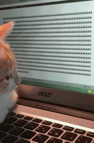 Aaa GIF