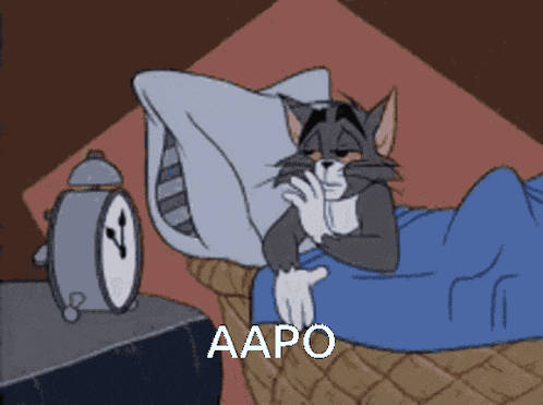 Aapo Nukkuu GIF
