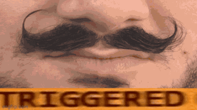 Aaron Gobidas Go Be Rewarded GIF