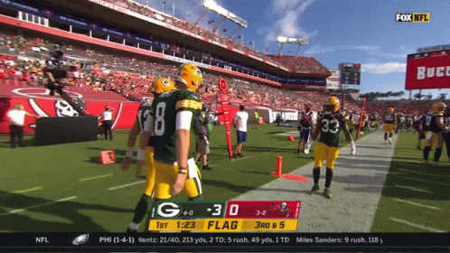 Aaron Rodgers Packers GIF