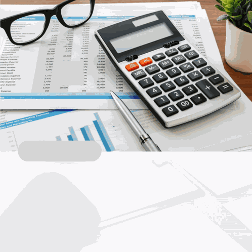 Accountant GIF