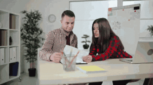 Accounting Accountant GIF