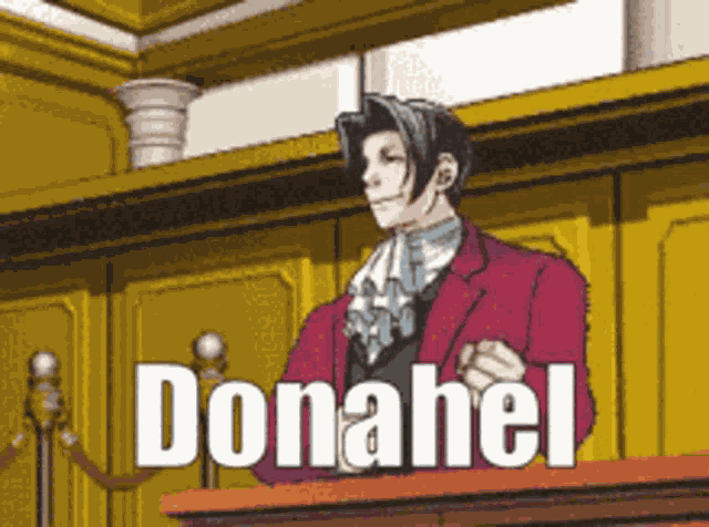 Ace Attorney Donahel GIF