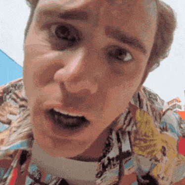Ace Ventura Aceventura GIF