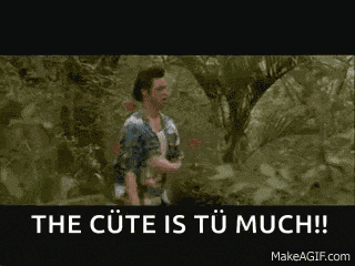 Ace Ventura Numb GIF