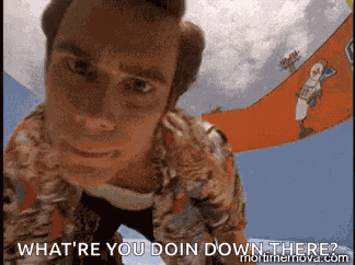 Ace Ventura Pet Detective GIF