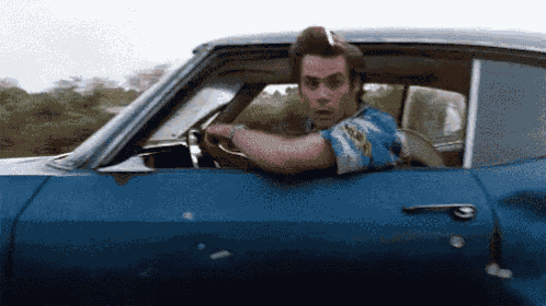Ace Ventura Pet Detective GIF