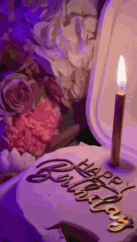 Adeeva01 GIF