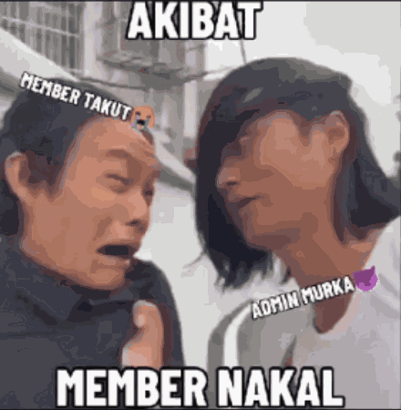 Admin Murka Admin Datang GIF
