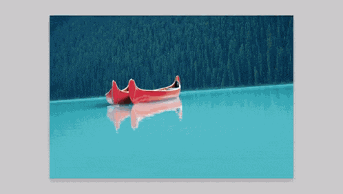 Adobe Photoshop Crop Tool GIF