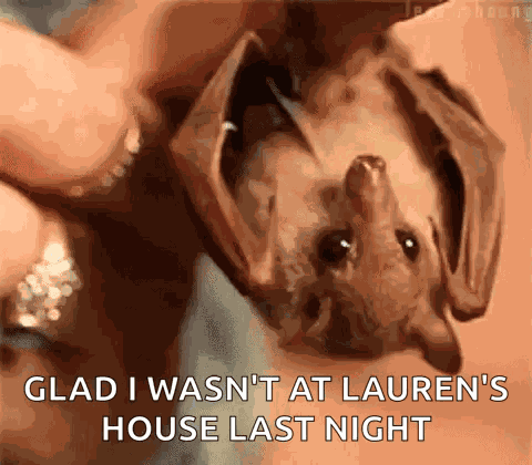Adorable Animals Cute GIF