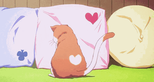 Adorable Cat GIF