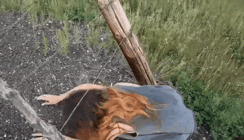 Adventure Sniperwolf GIF