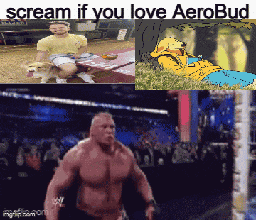 Aerobud Scream If You Love GIF