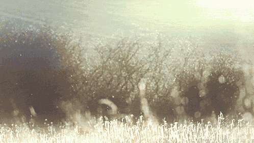 Aesthetic Ethel Cain GIF