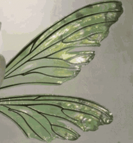 Aesthetic Green GIF
