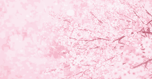 Aesthetic Sakura GIF