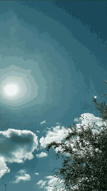 Aesthetic Wallpaper GIF