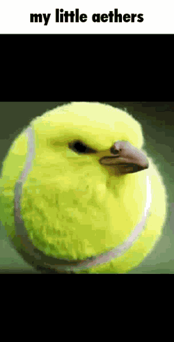 Aeth Aether GIF