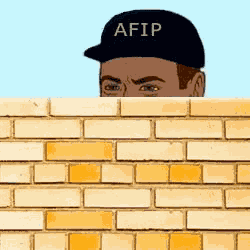 Afip Facebook GIF
