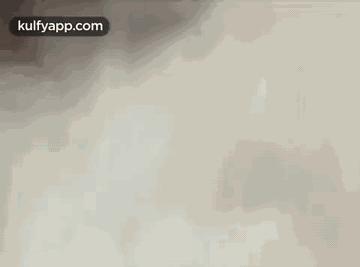 After Bursting Crackers.Gif GIF