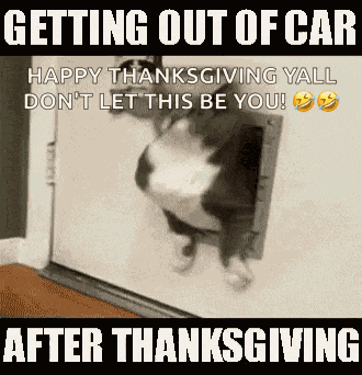 After Thanksgiving After Dinner GIF