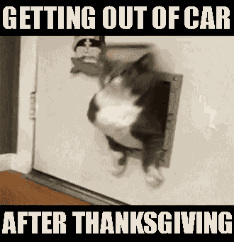 After Thanksgiving After Dinner GIF