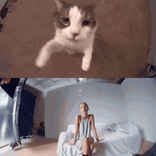 Aghostisawish Olivia Rodrigo GIF