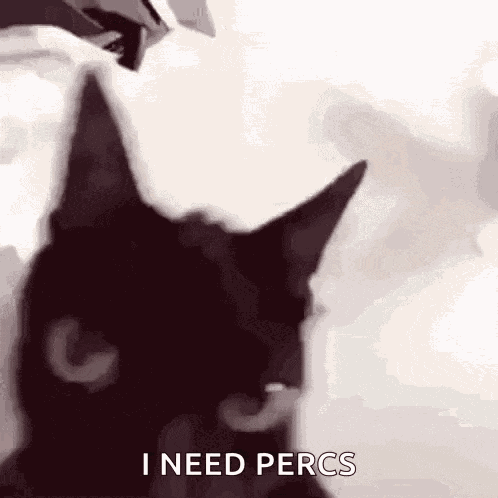 Ahoklollmao Angry Cat GIF