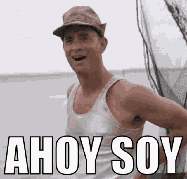 Ahoy Soy Soy GIF