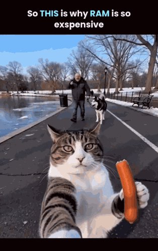 Ai Ai Slop GIF