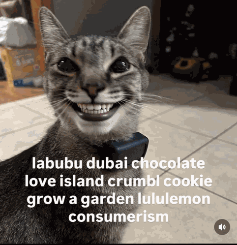 Ai Cat Smiling GIF