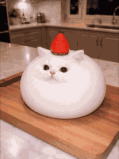 Ai Mochi GIF