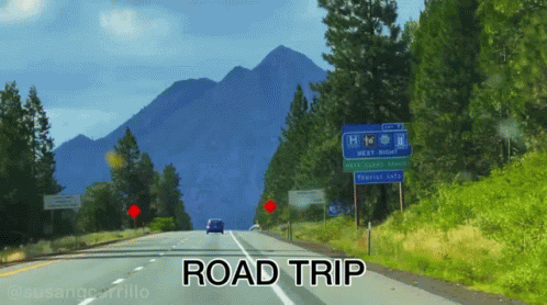 Aidan Gallagher Road Trip GIF