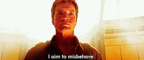 Aim To Misbehave - Firefly GIF