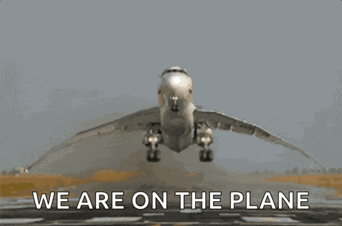 Airplane Flapping Wings GIF