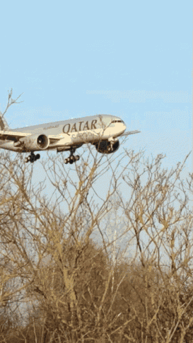 Airplane GIF
