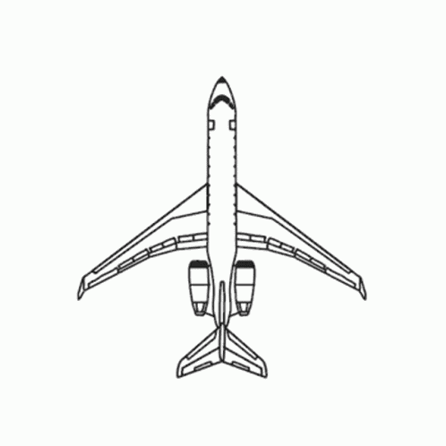 Airplane GIF