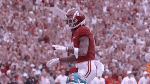 Alabama Crimson Tide GIF