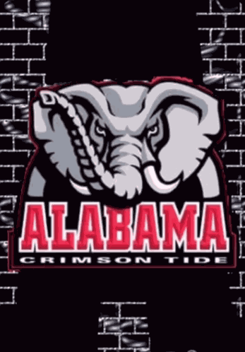 Alabama Roll Tide GIF