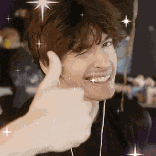 Albert Flamingo Meme