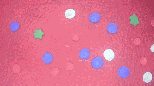 Aldo Plastilina GIF
