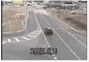 Alertness Instinct GIF