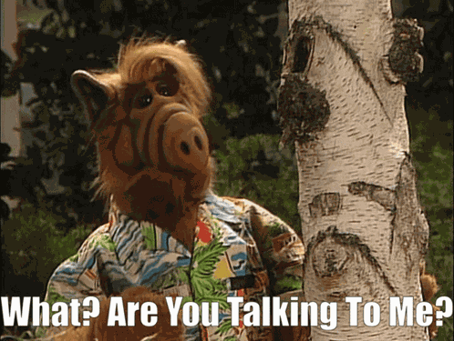 Alf Are You Talking To Me GIF
