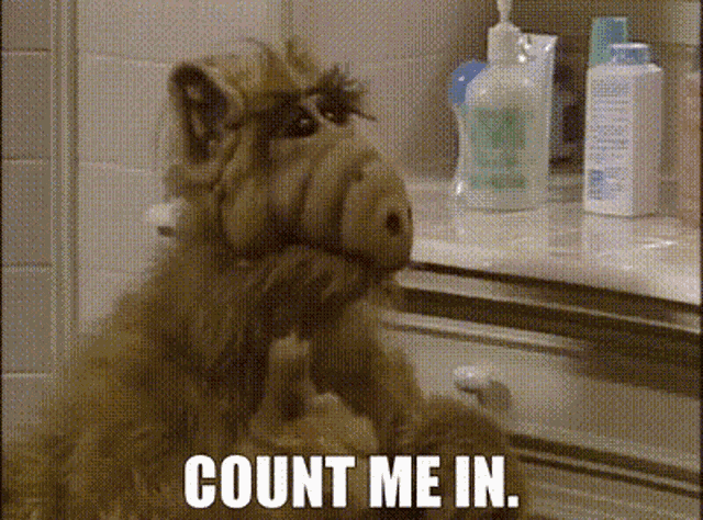 Alf Count Me In GIF