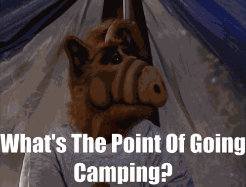 Alf What'S The Point GIF
