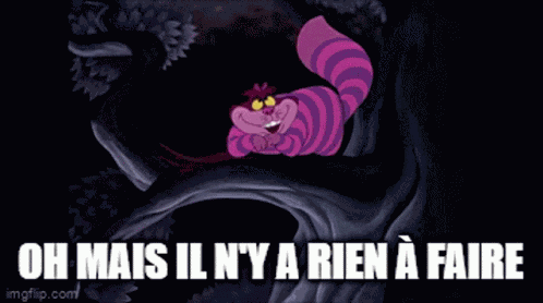 Alice In Wonderland Characters Alice Au Pays Des Merveilles GIF