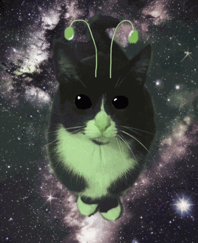 Alien Cat Ufo Cat GIF