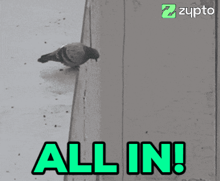 All In Bird GIF